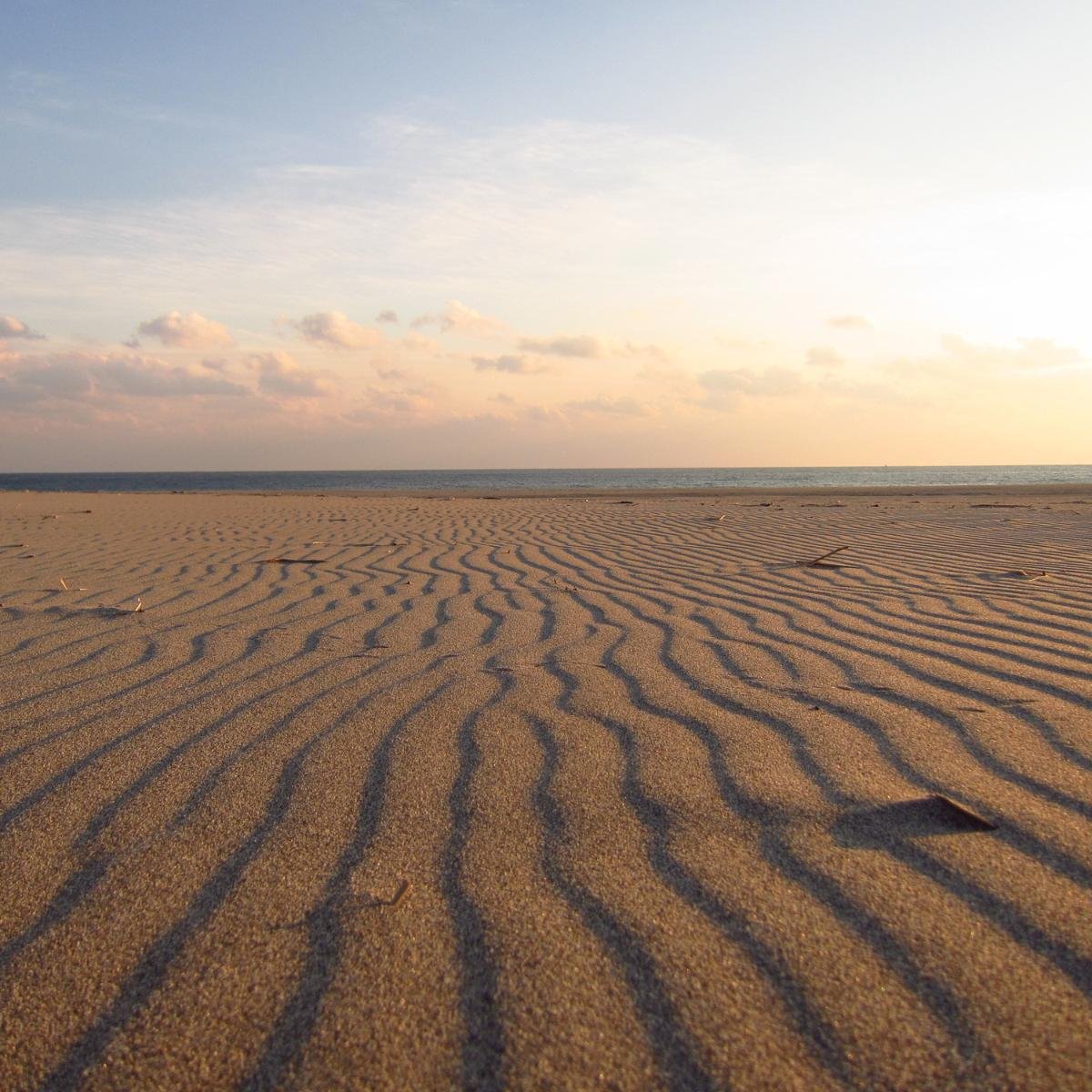 🏖️ 나카타지마 사구 이미지 7